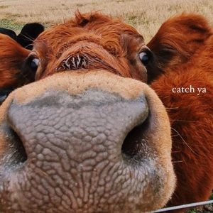 Meet your Posher, Noah